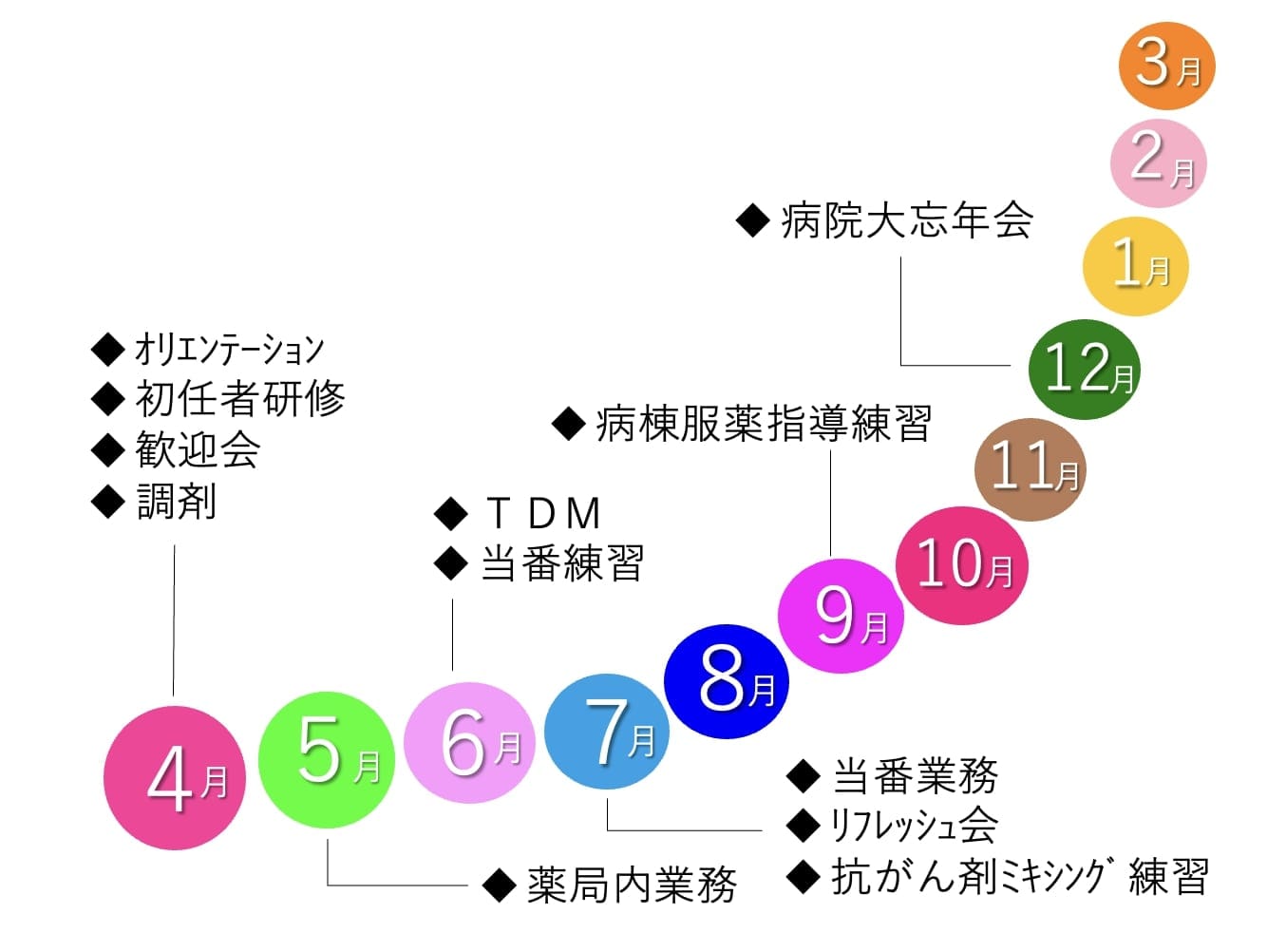 新人教育スケジュール